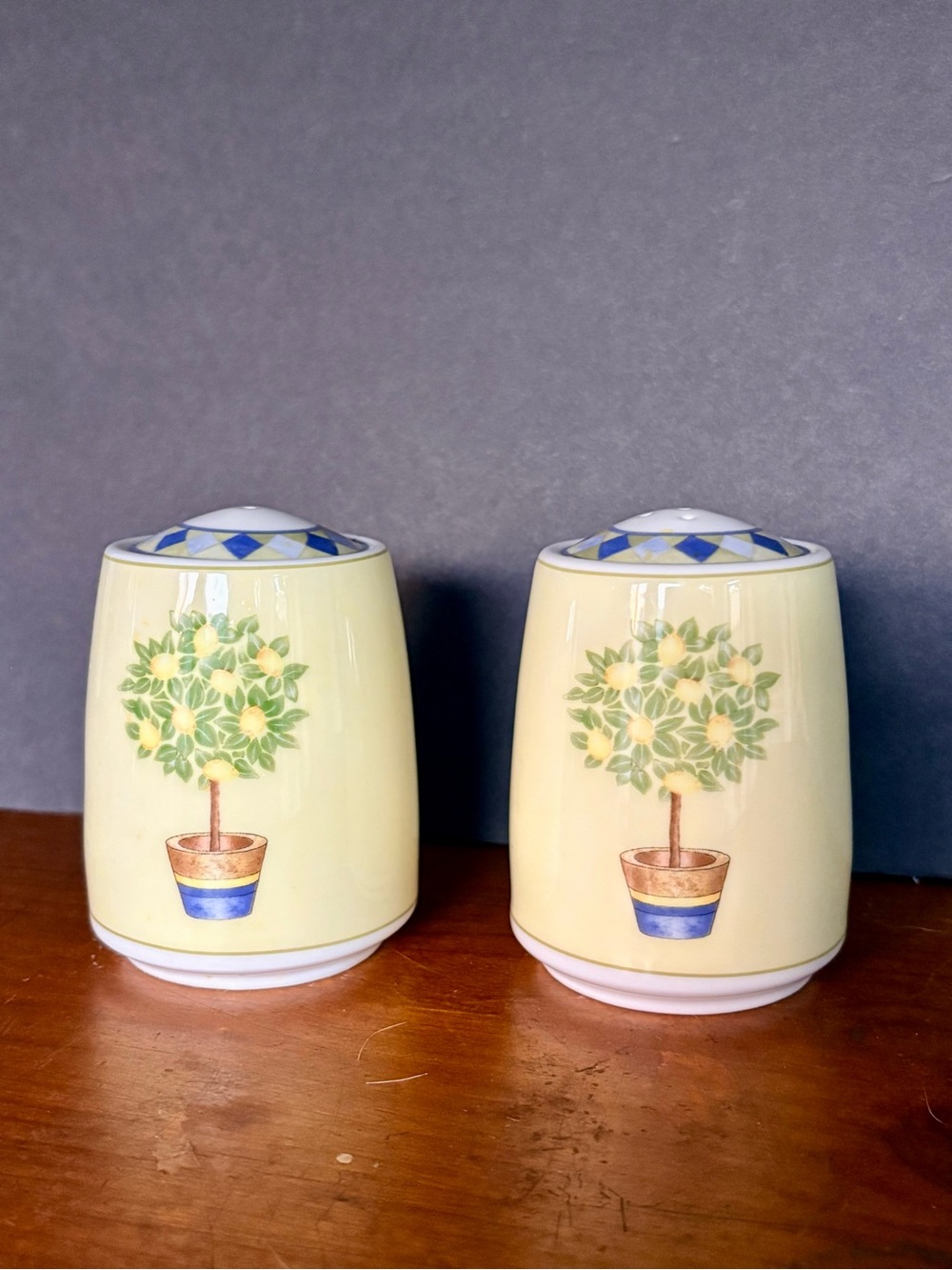 Vintage Royal Dalton Carmina Salt and Pepper Shaker Set